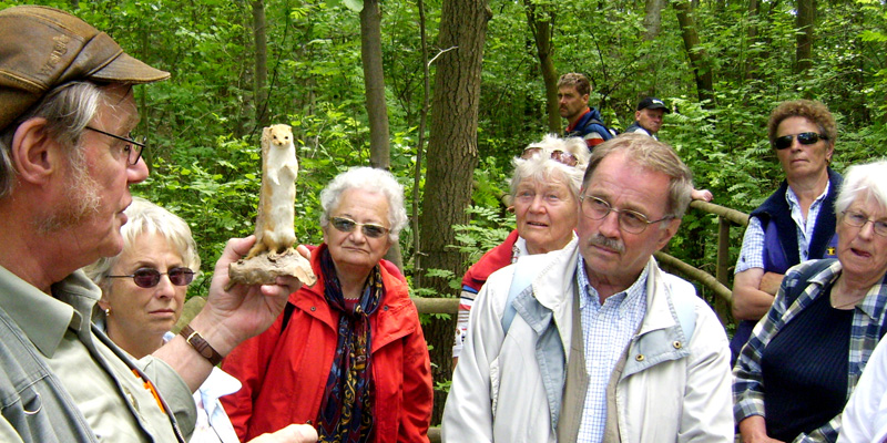 FÜHRUNGEN DURCH DAS PAHLHUUS UND DAS MOOR FÜHRUNGEN DURCH DAS PAHLHUUS UND DAS MOOR